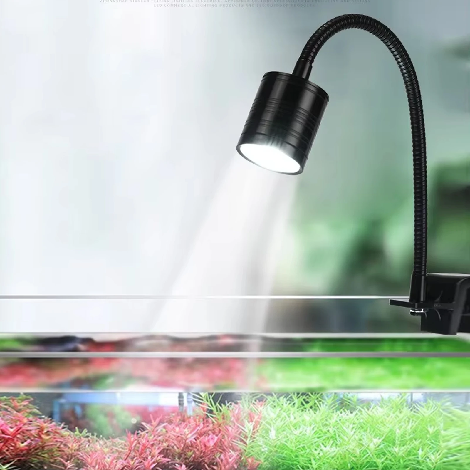 

3000K 4000K 6000K LED Spot Aquarium Light Desktop Small Fish Tank 5/7W COB South American Landscaping Lamp