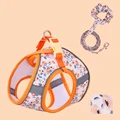 Orange set