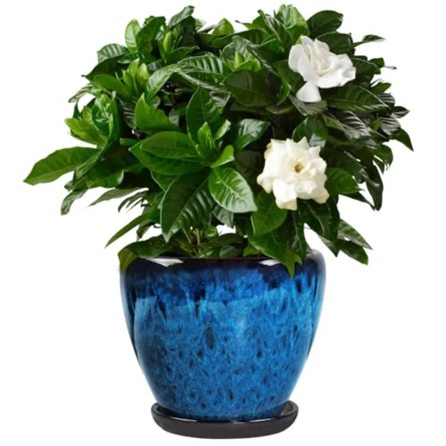

Ceramic Plant Pots with Saucer, Glaze Planters for Indoor Plants with Drainage Holes, Decorative Flower Pots Outdoor, Modern Or