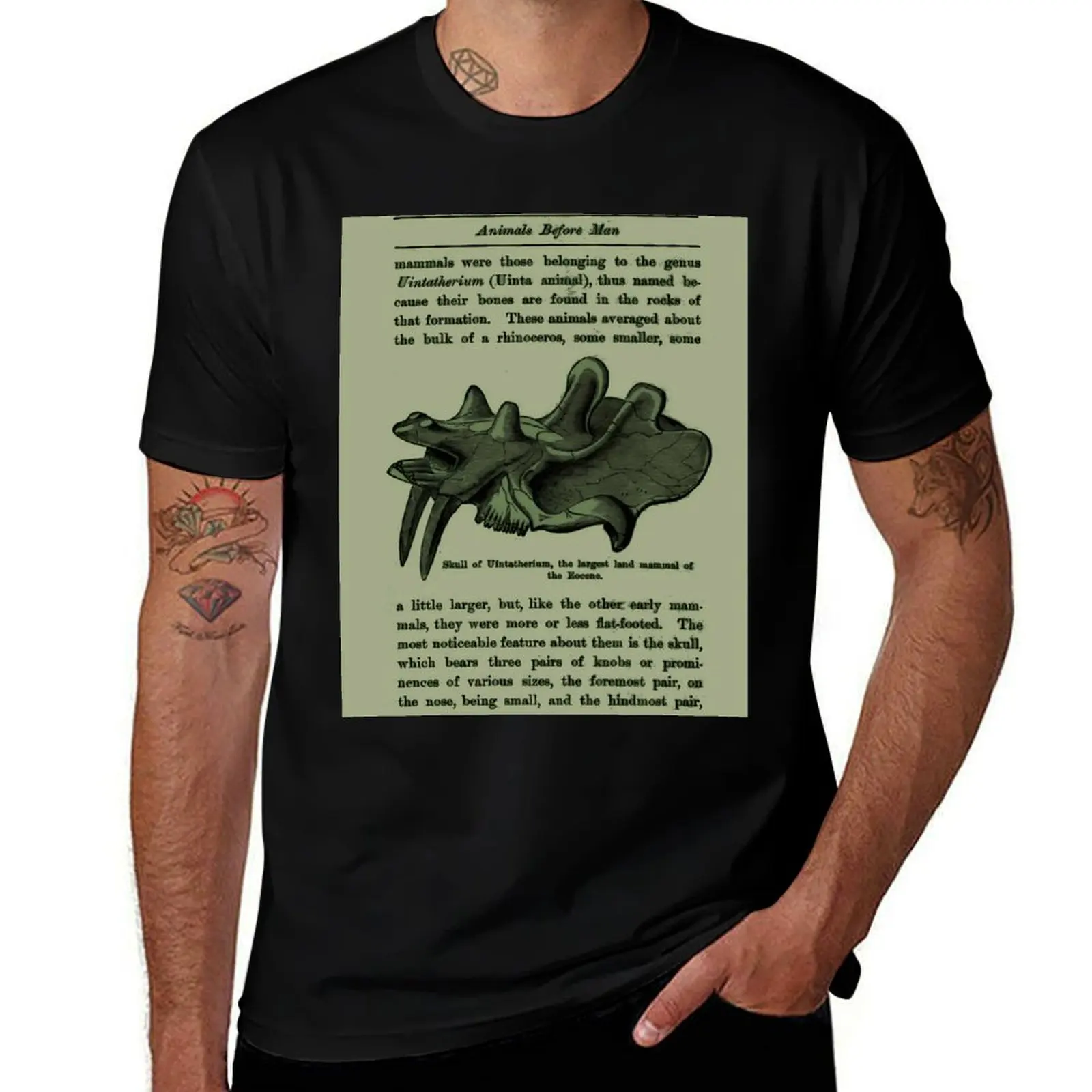 Animals Before Man Sage T-Shirt Big Size Short Sleeve Casual Top
