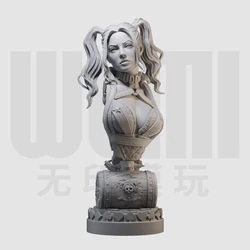 1/10  bust  resin white model GK figure model