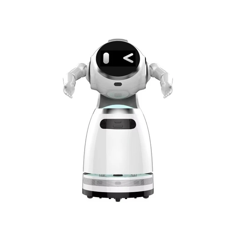 Customized Factory-Direct Robot - AI Consulting Reception & Business Welcome Robot for Retail