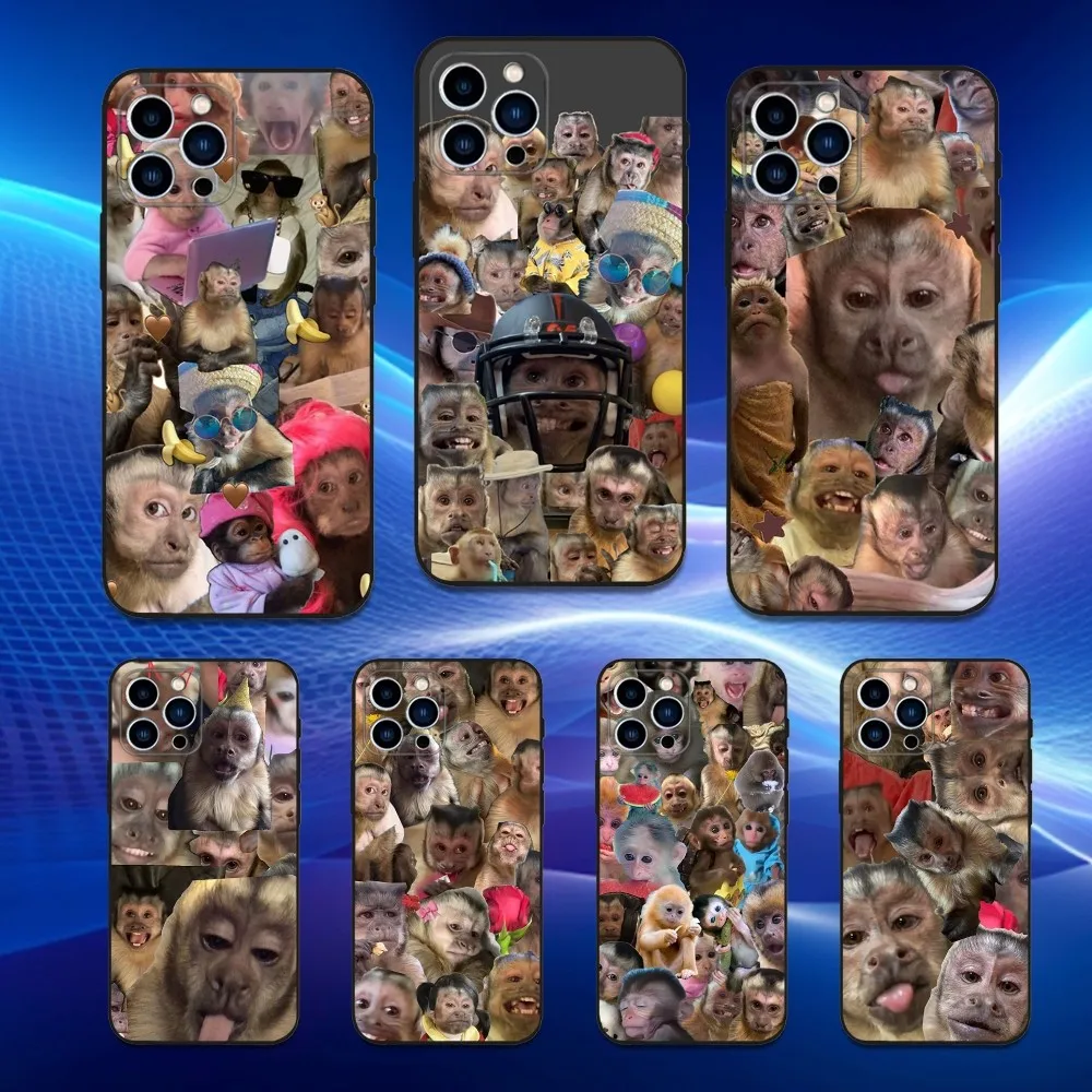 

Cute Funny Monkey Art Phone Case For iPhone 16,15,14,13,12,11 Plus,Pro Max,XS,X,XR,SE,Mini,8,7,Soft Silicone Black Cover