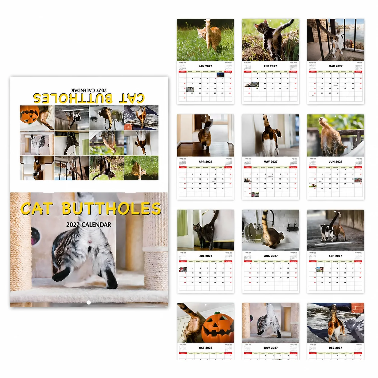 Cat 2027 Wall Calendar Cat Ass Calendar Humorous Gift for Women Men Cat Lovers Funny Calendar Funny Cat Gift for New Year