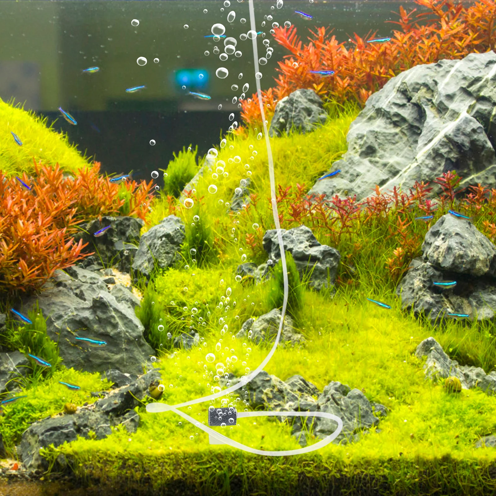 1 مجموعة المدمجة USB حوض السمك مضخة أكسجين مهوية الهواء الصغيرة المحمولة خزان الأسماك مضخة هواء البلاستيك الأكسجين أداة للمنزل حوض السمك #1