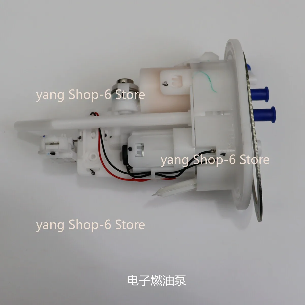 Original Electronic Fuel Pump Assembly for Loncin Voge DS900X DSX900 LX900-C 172720028-0001