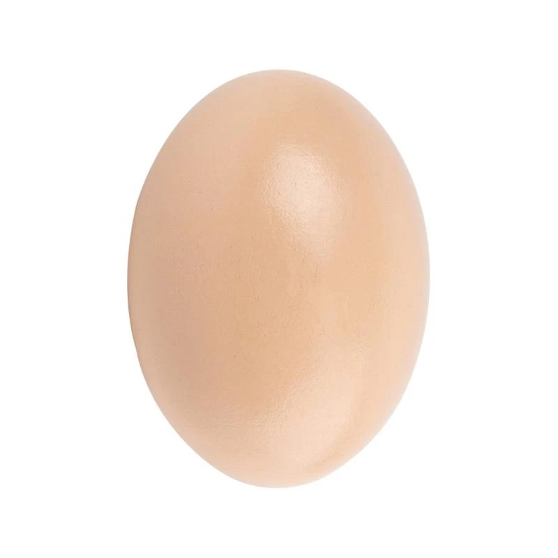 

Wooden Simulation Egg Unfinished Painted Eggs Fake Eggs Crafts