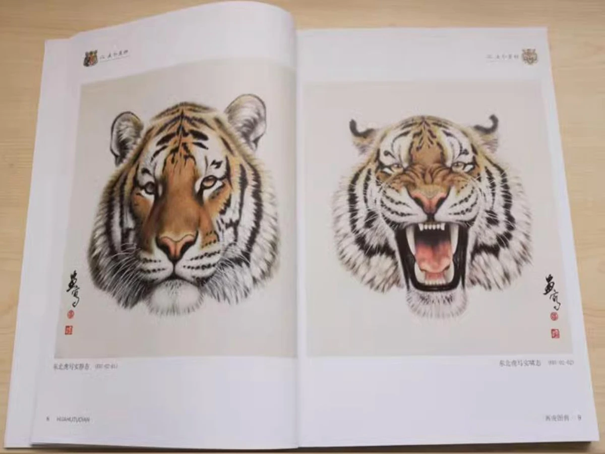 Chinese Ink Brush Painting Gongbi Tiger Faces Head Tattoo Flash  Drawing Skills Art Book