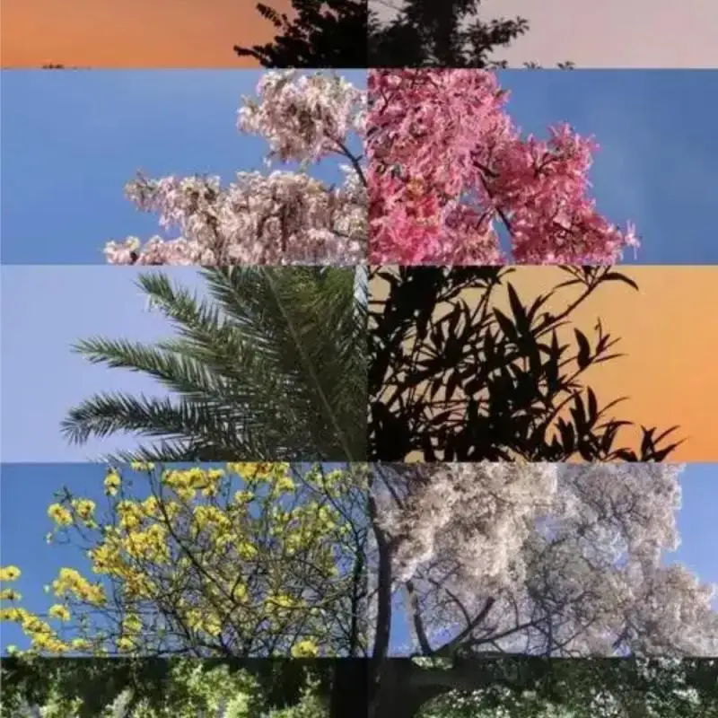 

Contactless IC Card Reader Writer 13.56MHz NFC Reader with USB Interface Access Control Encrypted Programmer