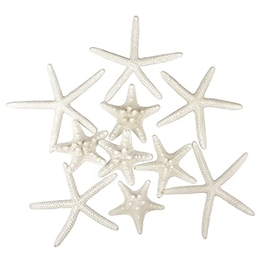 12 PCS Starfish 2-6 Inch Mixed Starfish Natural Seashells Starfish Star Fish Shells Decorations Perfect for Wedding Decor Beach