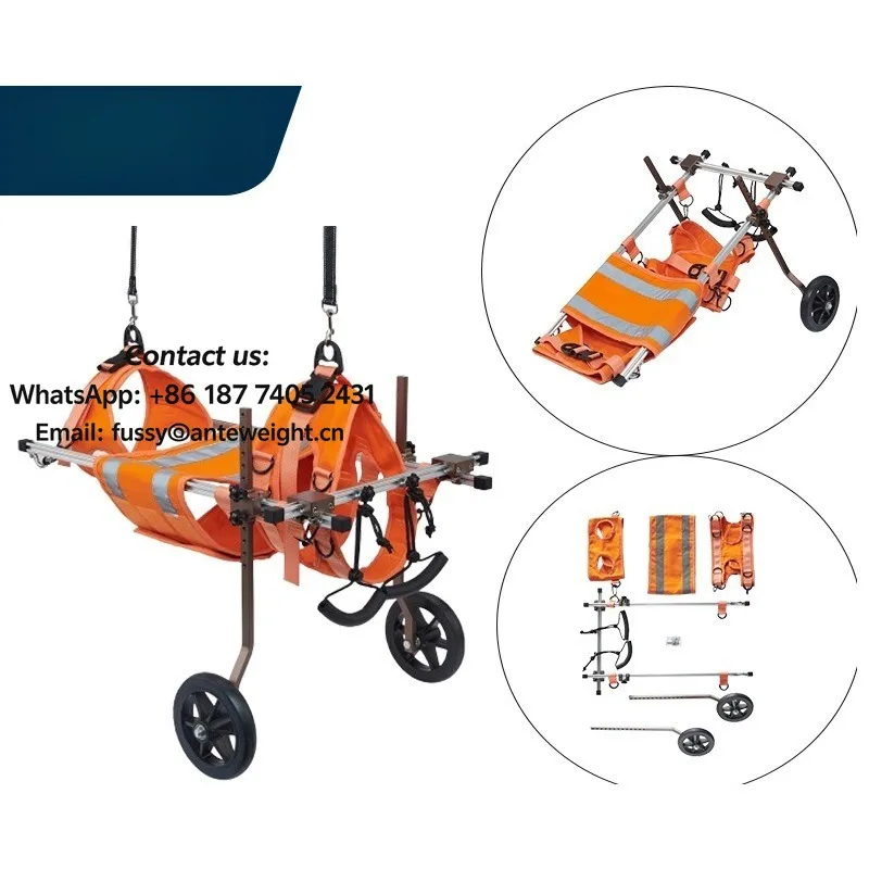 Two-Wheel Dog Support Cart for Large Breeds ,Rehabilitation & Mobility Aid for Hind Legs | Lightweight & Maneuverable