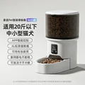 WiFi model B