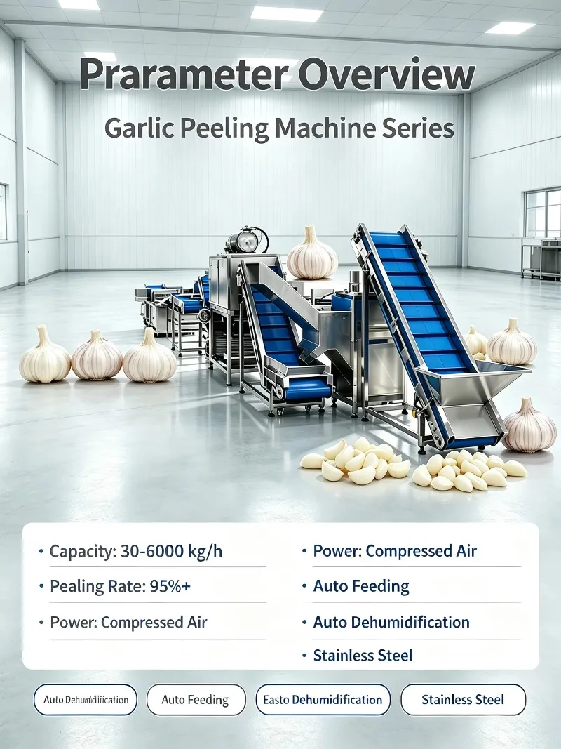 Integrated Garlic Splitting Dry Peeling Line Automatic Skin Remover for Industrial Food Factory Custom