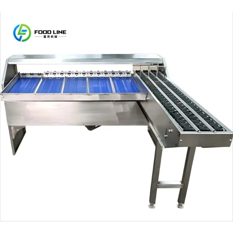 Customized Motor Egg Sorting Machine Chicken Egg Size Weight Sorter Classify Automatic Small Scale Grader 5000 Pcs/H