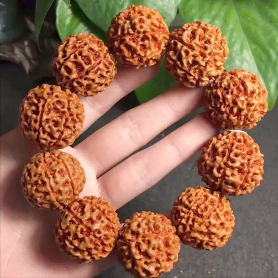 

Spirituality 25mm Rudraksha mala Buddha Lucky bracelet tassel Hand elastic Gemstone Women Yoga zazen Men's Bodhi Chaplet Nirvana
