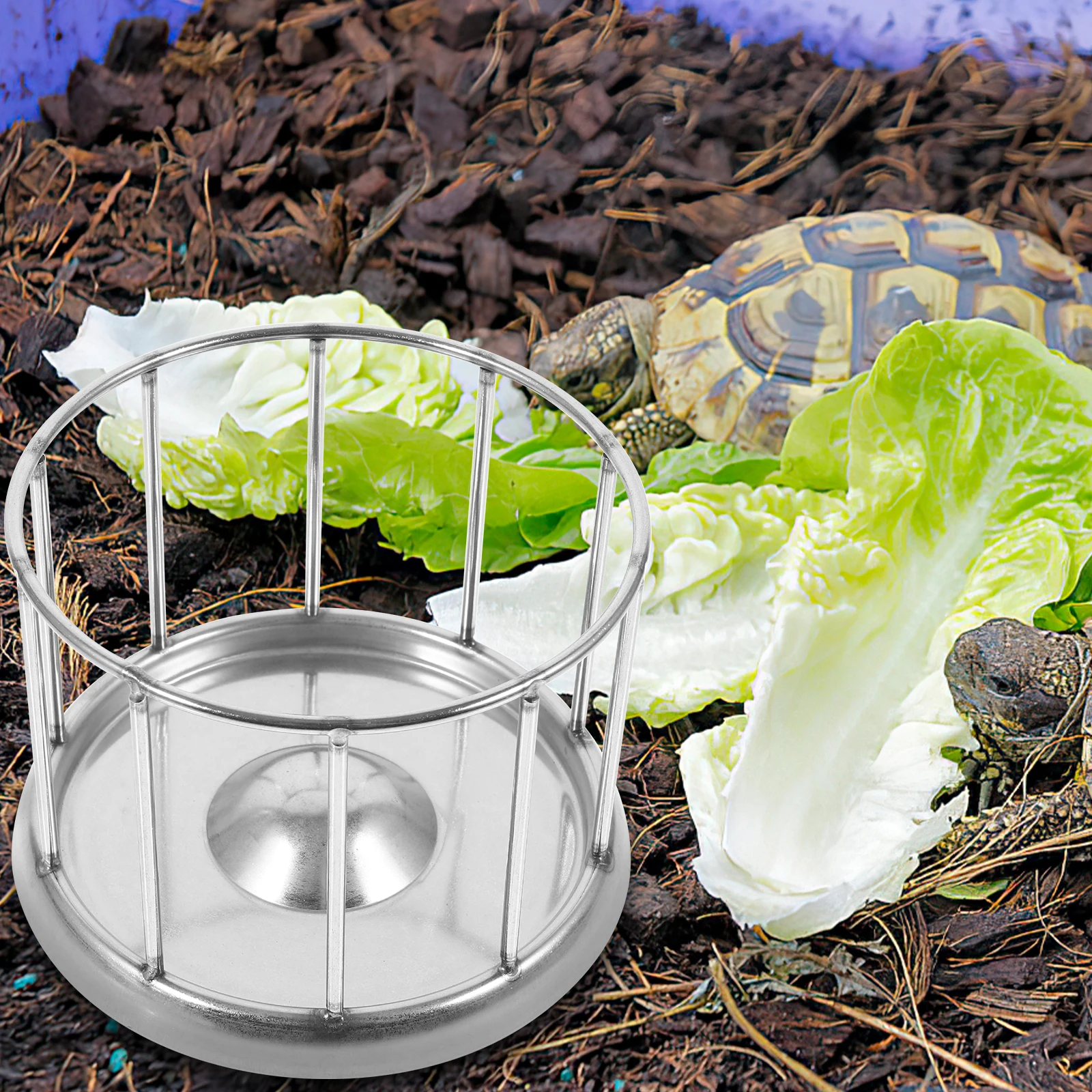 

Stainless Steel Feeder Reptile Food Holder Water Dish Bowl Feeding Turtle Bowls