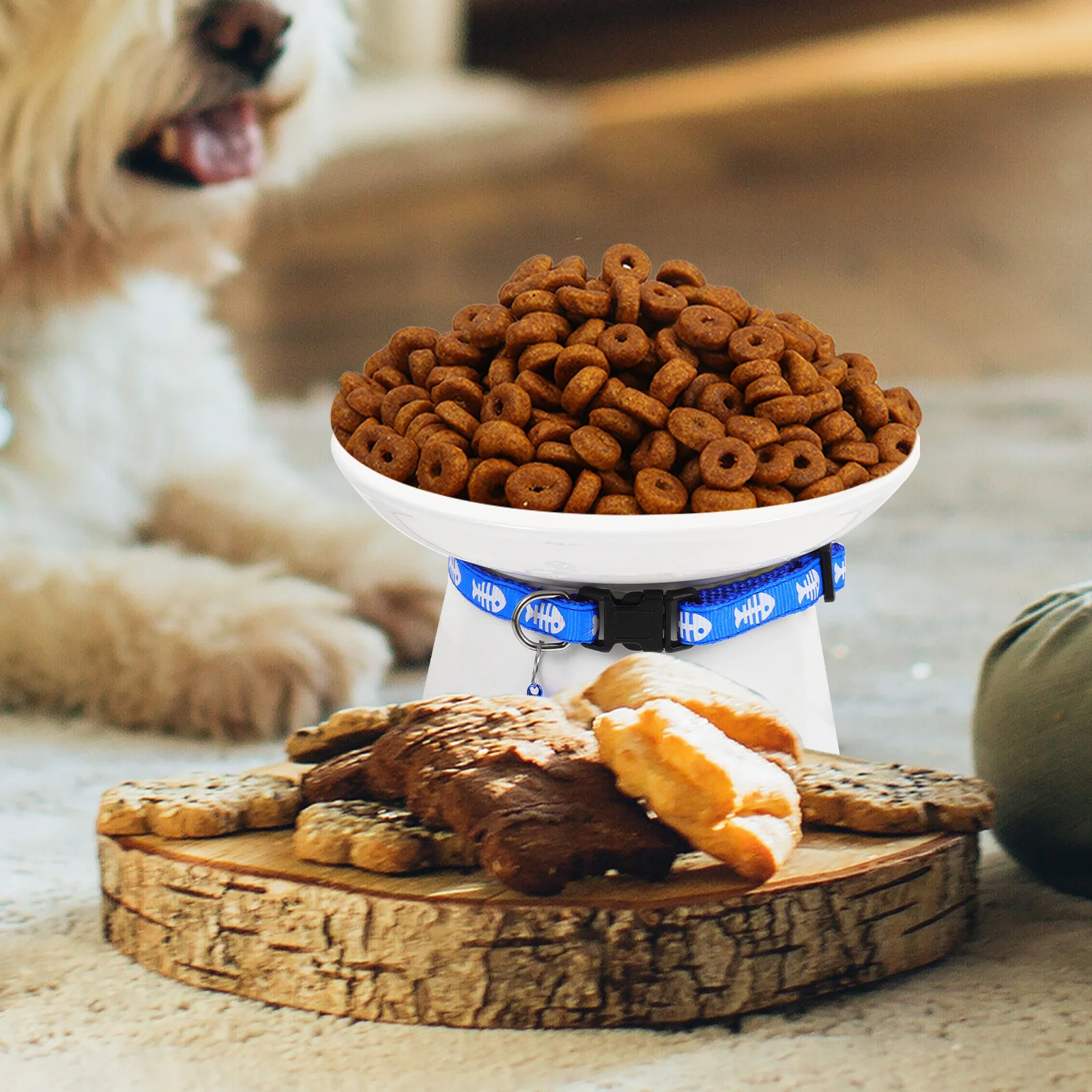 

Ceramic Raised Cat Bowl Elevated Shallow Food Dish Smooth Surface Cat Feeding Supplies Pet Feeder Raised Bowl for Indoor Cats