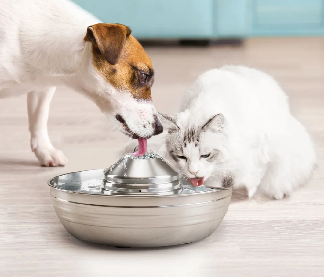 

Stainless Steel Pet Water Fountain 2L, Ultra-Quiet Automatic Waterer for Cats and Dogs, Never Thirsty, Easy to Clean