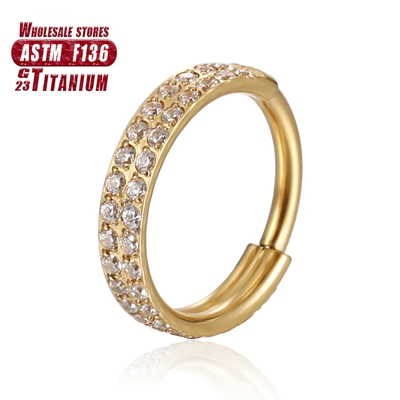 Women's Titanium ZC Nose Rings & Hinged Segment Earrings, Versatile