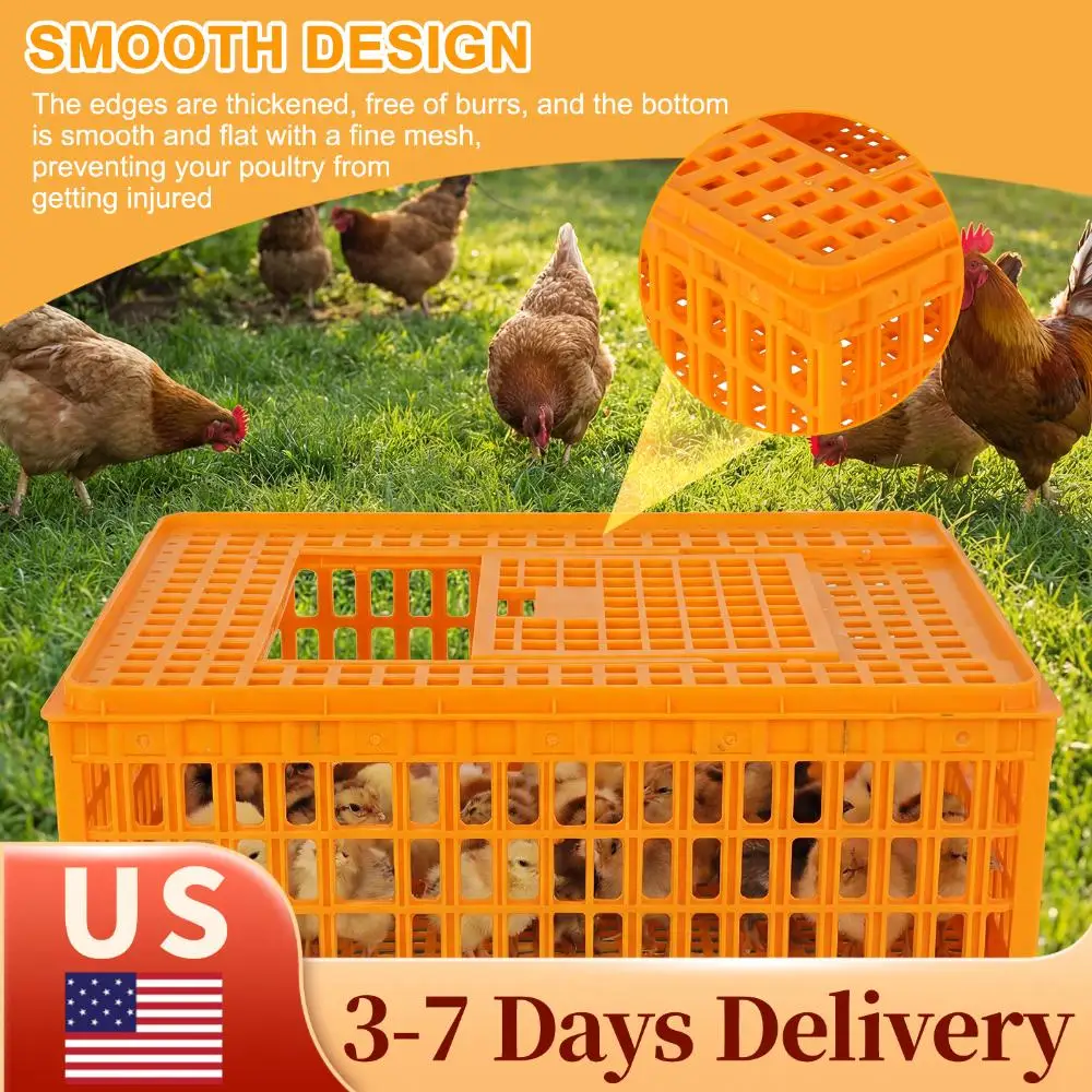 Chickens 6Pcs Stack… - image