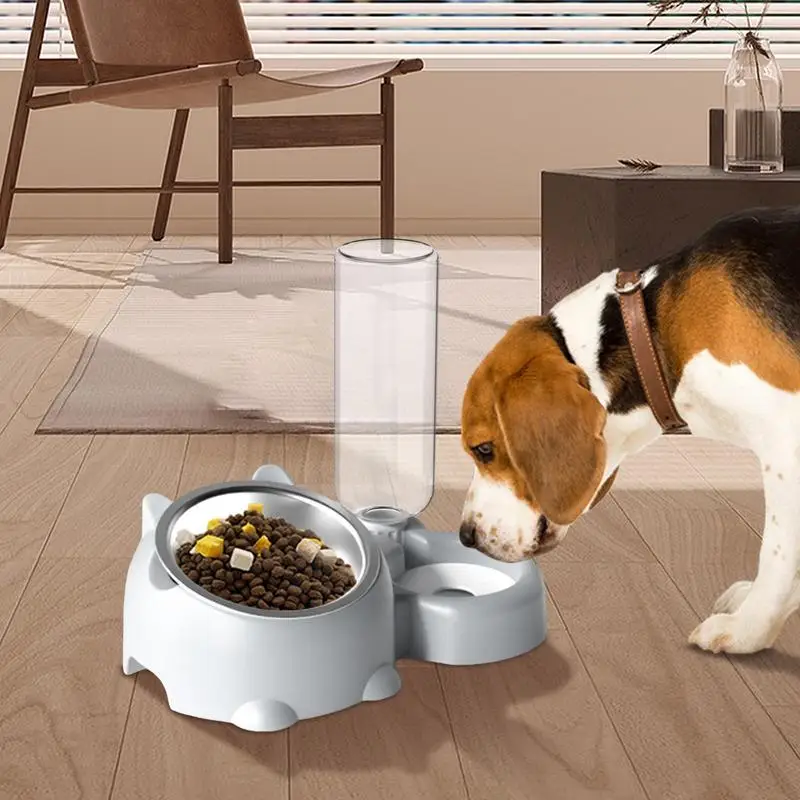 Cat Food and Water Bowl Set 16 Degree Tilted Dog Dish with Water Dispenser Detachable Pet Feeder Bowl for Cats and Dogs