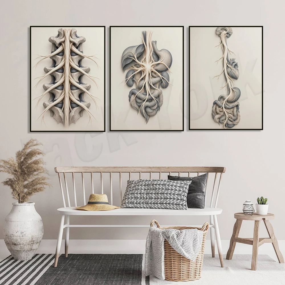 Nervous System Art: Depicting the Vagus Nerve, Brachial Plexus, and Spinal Nerve Pathways—Decorative Poster for Medical Clinics