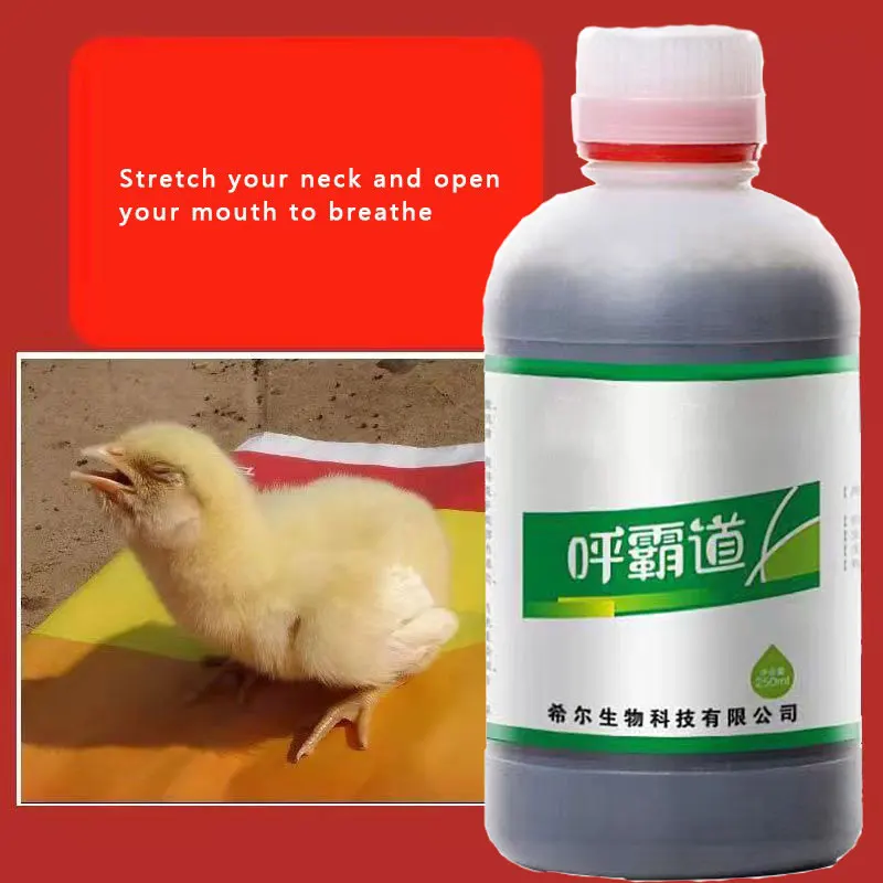 Chickens, Ducks, Geese, Birds and Pigeons with Huspeedba Respiratory Bronchus Snoring Strange Call 250ml