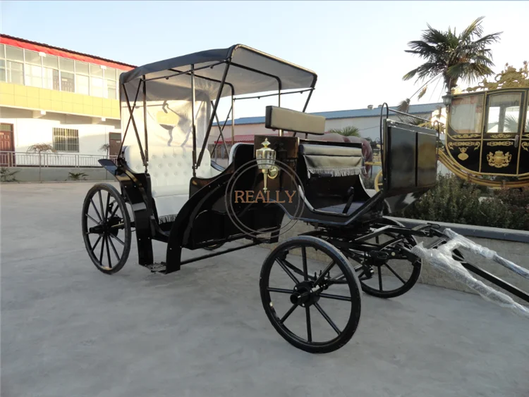 Fabricante de coches de Cenicienta, carro eléctrico para caballos, carro eléctrico de doble hilera para bodas, a la venta