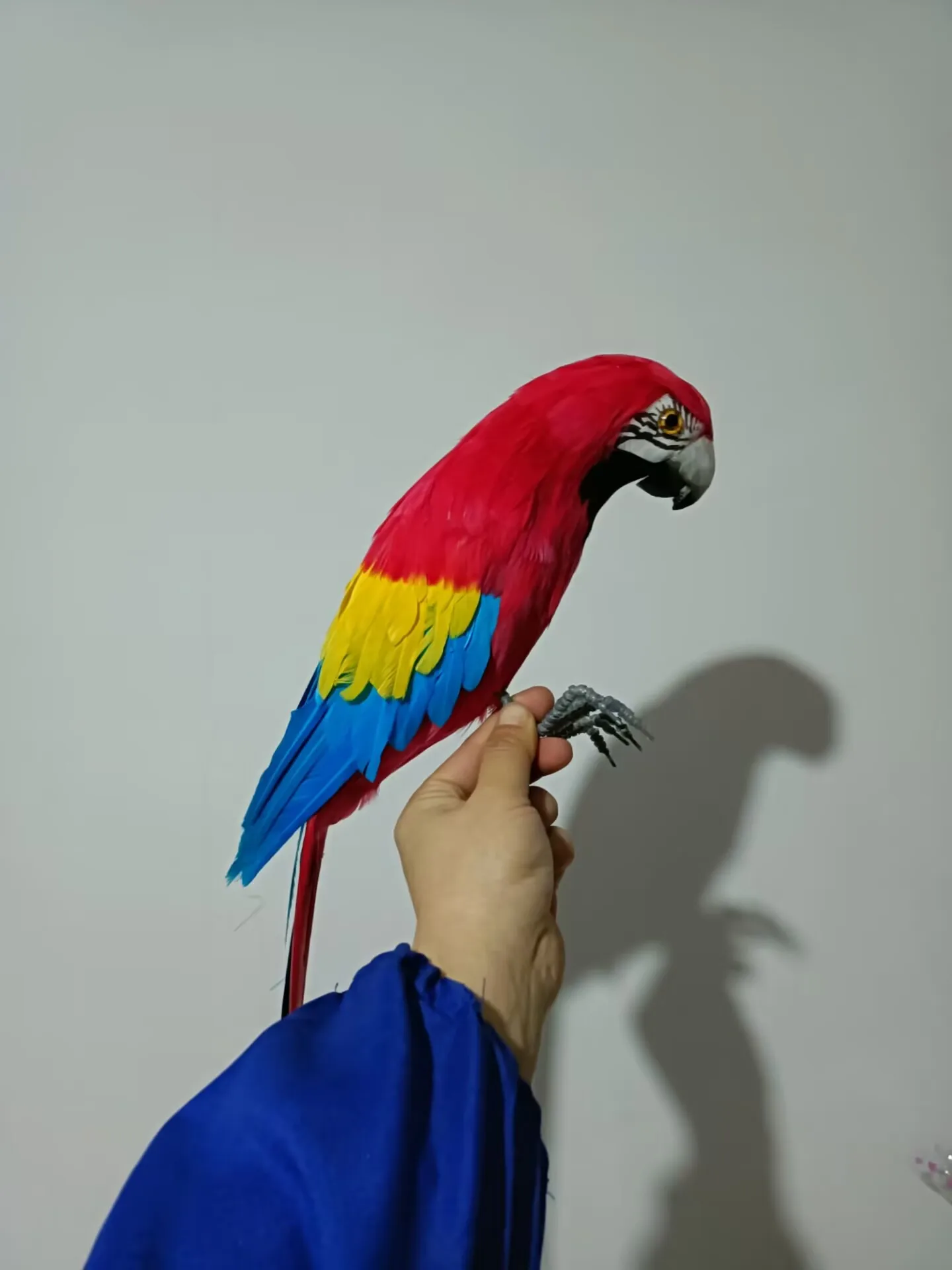red simulation parrot model foam&feather colorful parrot bird gift about 45cm d0559