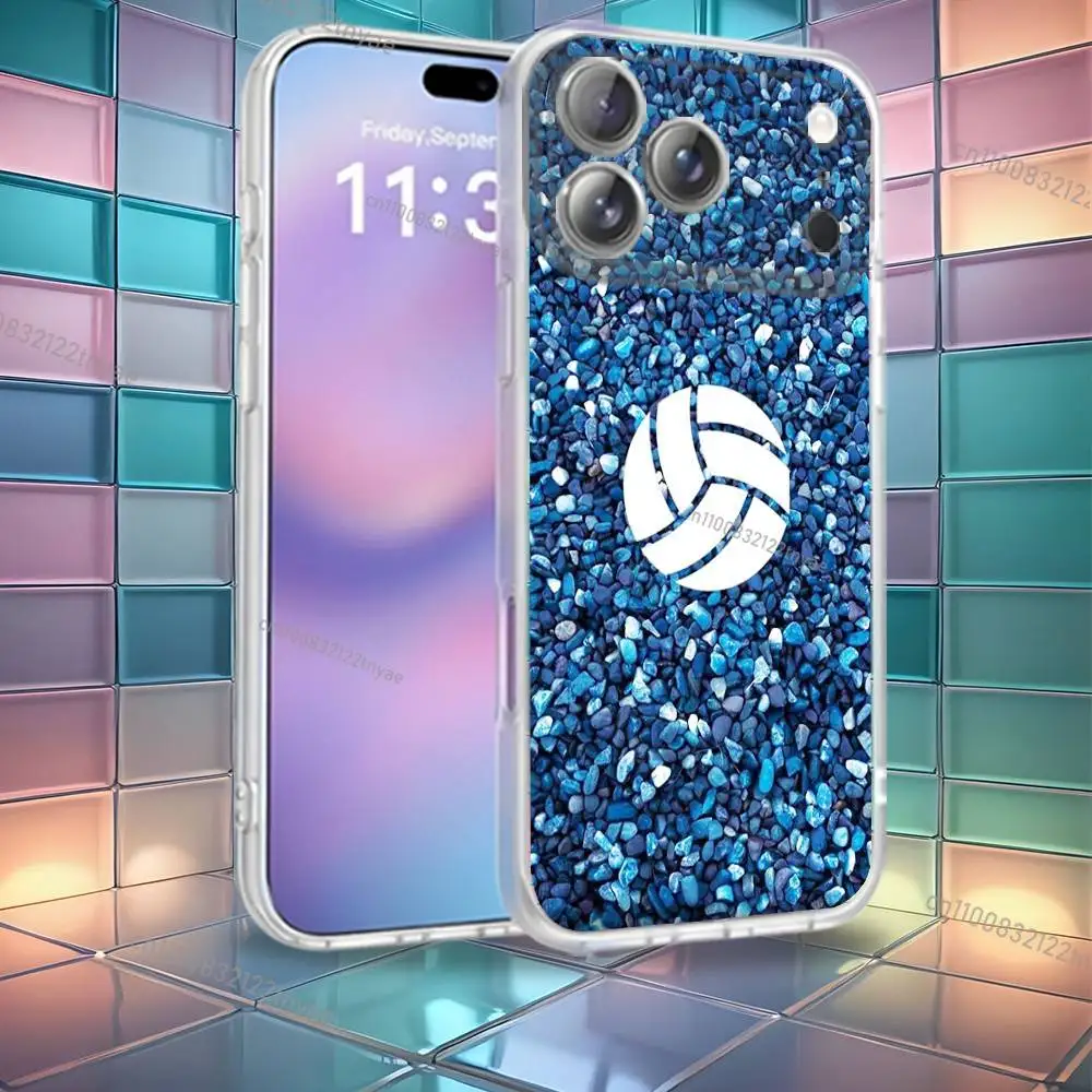 Painted Art Volleyball Phone Case For iPhone 16,14,11,17,13,15,12,Air,Plus,Pro,Max,E,Mini Frosted for MagSafe Magnetic