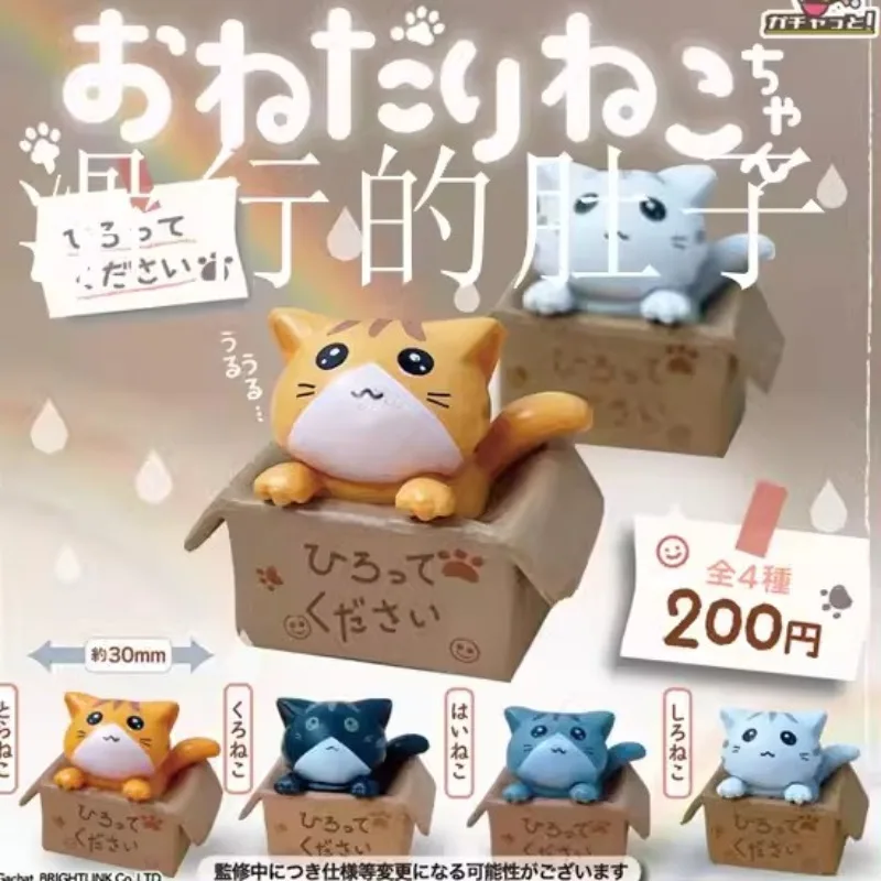 Kawaii Gashapon Creativity Anime Figurine Cat Box Aciton Figure Cute Animal Pet Gachapon Capsule Toys Miniature Doll