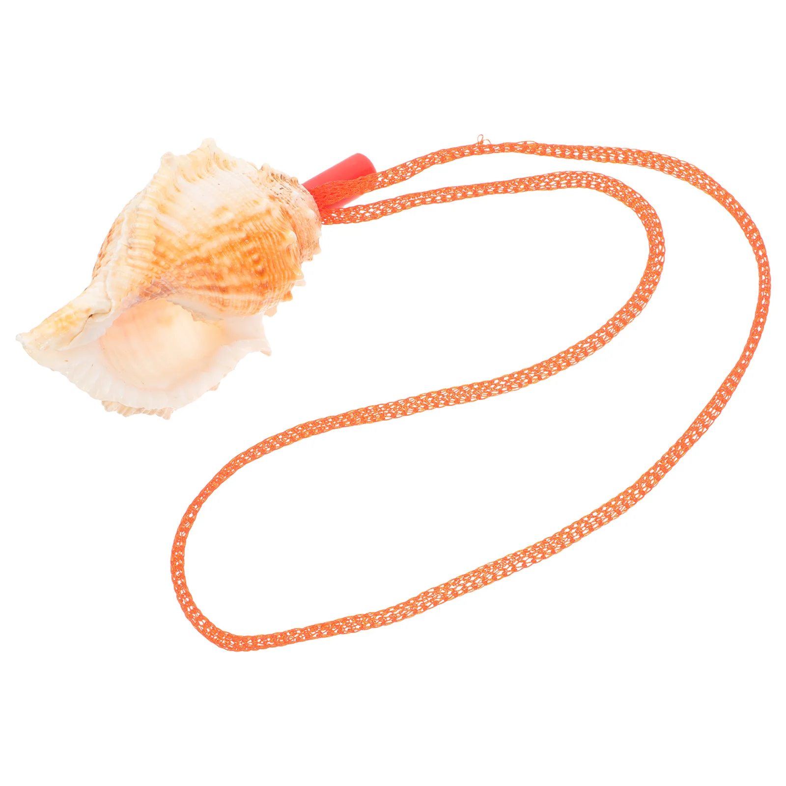 

Natural Conch Whistle Decorative Sea Shell Loud Clear Sound for Kid Party Favor Training Outdoor Use Conch Whistle for Kid