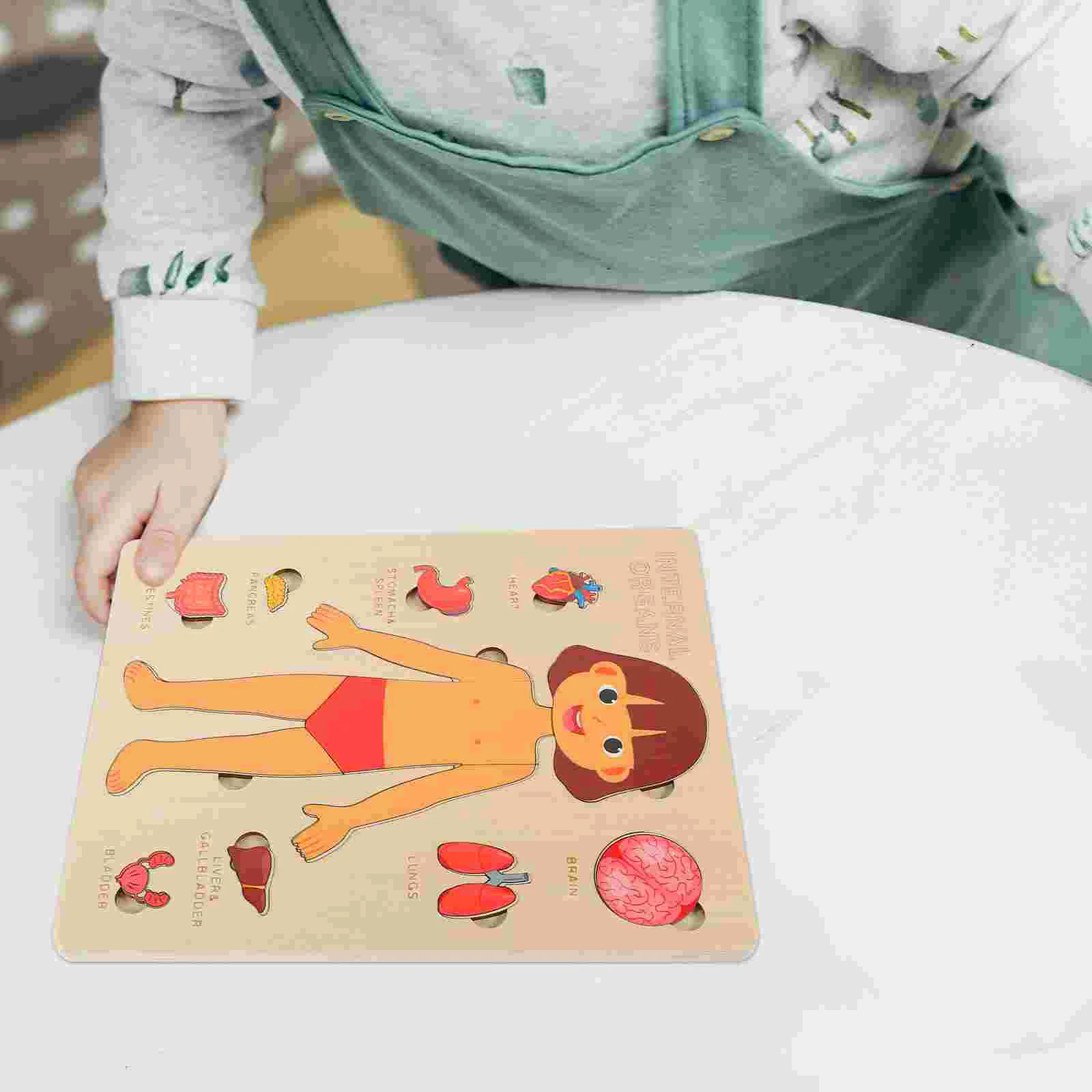 Human Body Structure Puzzle Internal Organs Toy Boards Disassembled Wooden Anatomy Model Cognitive Tool Children's Game