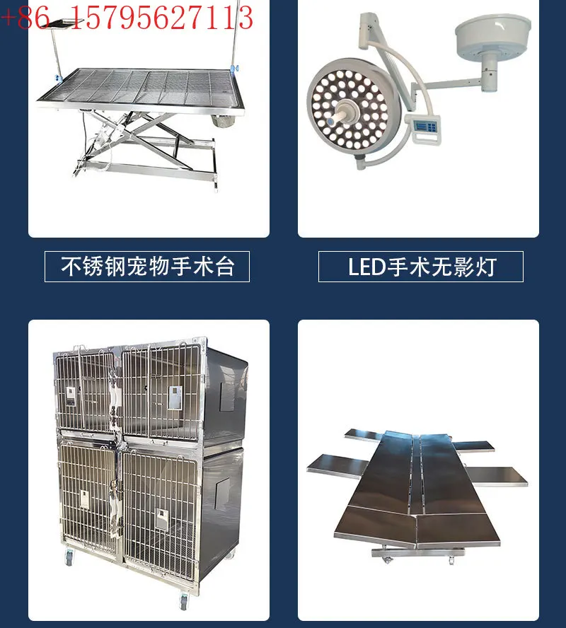 Source Factory Pet Grooming Table  Power Supply Lifting Cat and Dog Modeling Table Lifting Beauty Table