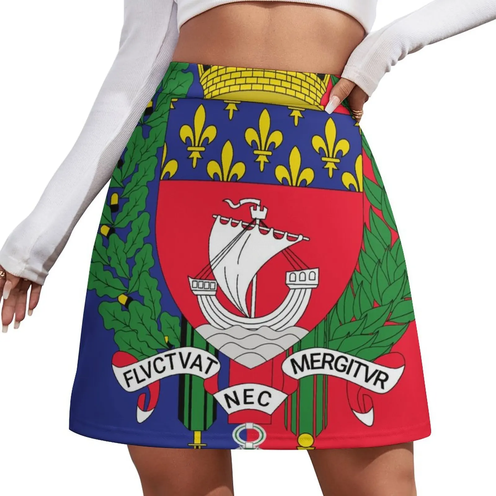 

Paris flag Mini Skirt Miniskirt skirt sets womens skirts Mini Skirt