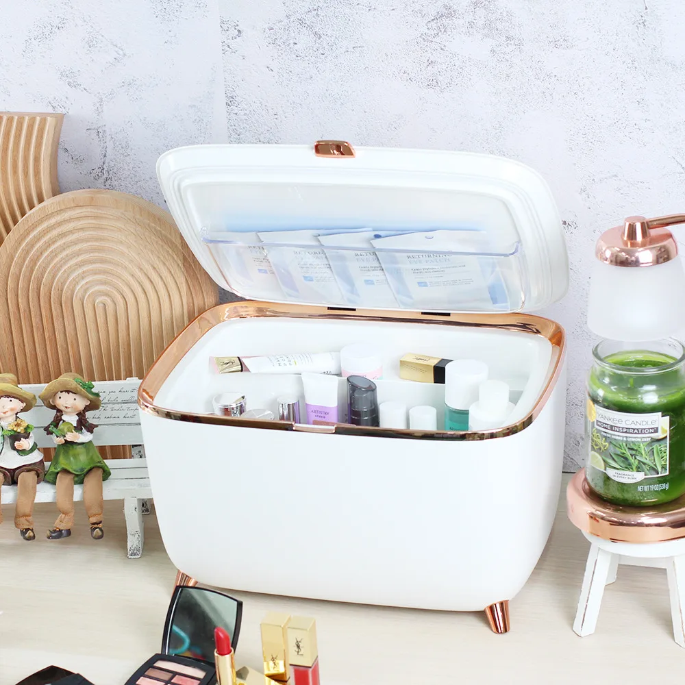 Mini Makeup Fridge with Constant Temperature, Portable Cosmetic Fridge for Skincare, Beauty refrigerator for Bedroom