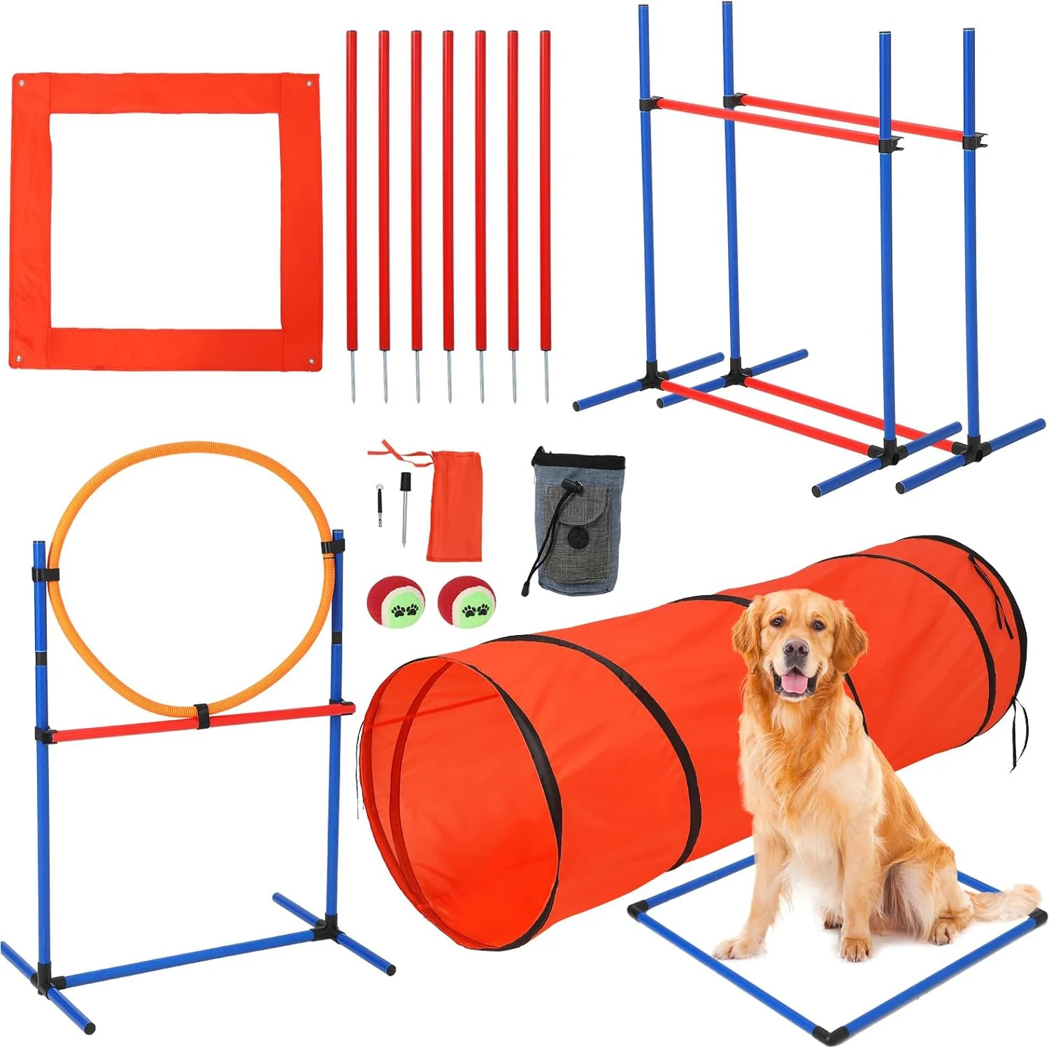 Dog Agility Kit 1