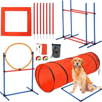 Dog Agility Kit 1