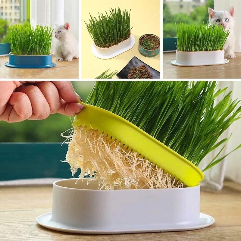 1 Piece Of Hydroponic Incubator Hydroponic Cat Grass Seedling Tray Reusable Cat Snacks Plant Planting Bowl Pet Supplies