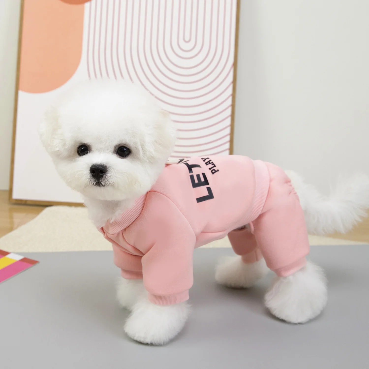 Sudadera con capucha de invierno para perros pequeños: Bichón y Teddy
