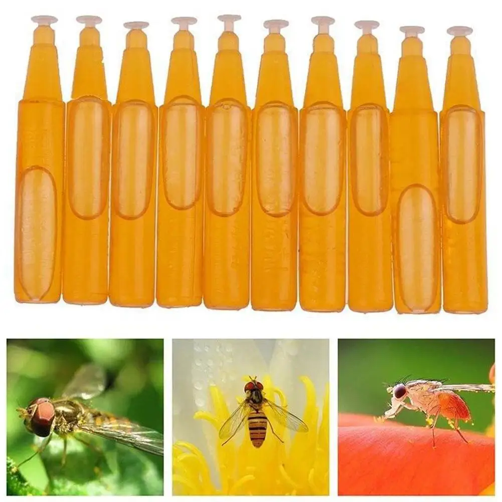 Drosophila Fruit Fly Killer, Controle de insetos de pragas, Catcher para casa, fazenda, Orchard Fly Catcher, D9q0, 10pcs