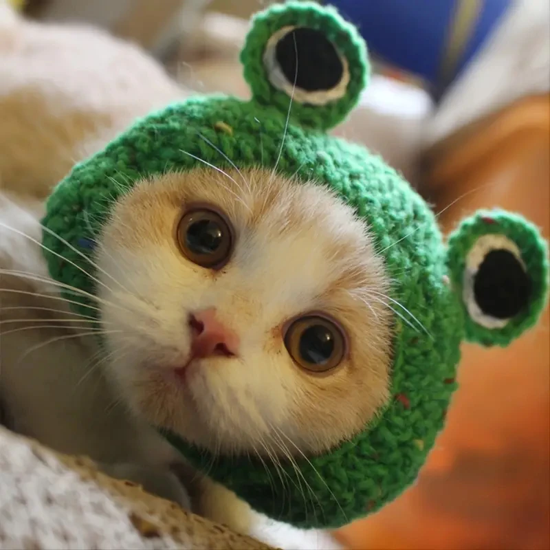 1pc Cute Fun Green Knitted Frog Shaped Pet Hat/headgear/cap for Keeping Warm for Small Pets Cats Dogs for Parties or Photoshoots