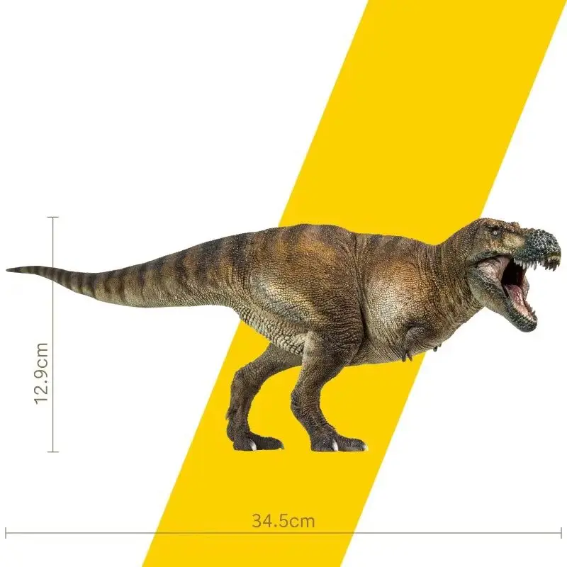 Dinosauri preistorici Tyrannosaurus Wilson 1:35 Modello di arte scientifica Figura giocattolo Raccogliere ornamenti Regali di festa per gli amici