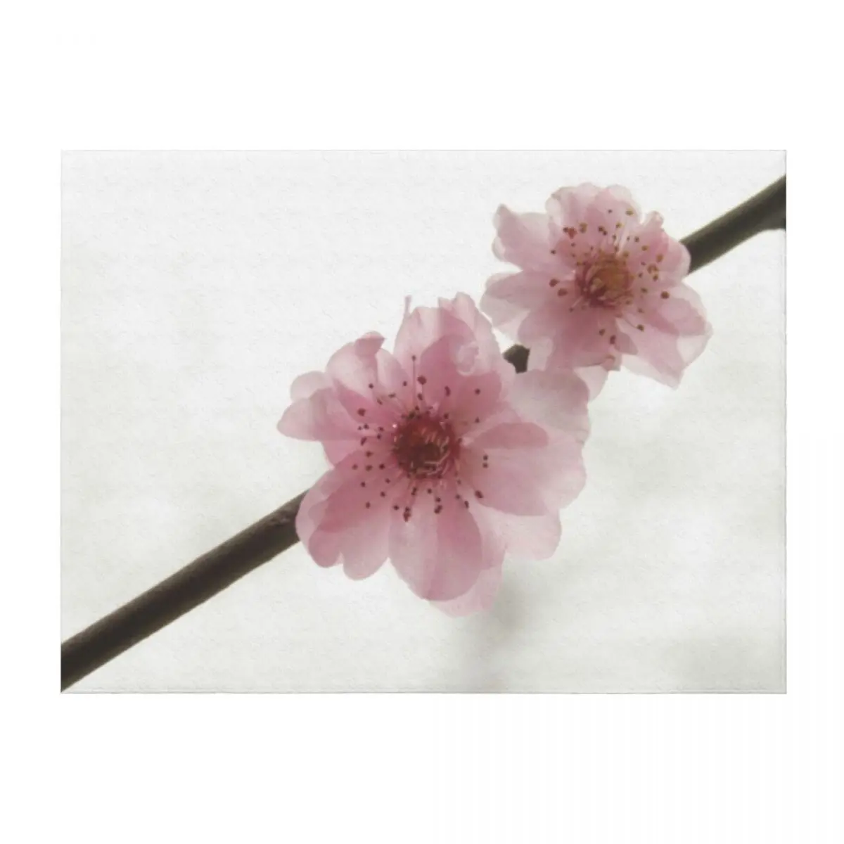 

Cherry Blossom Throw Blanket Nap Beautifuls Sleeping Bag Multi-Purpose Blankets