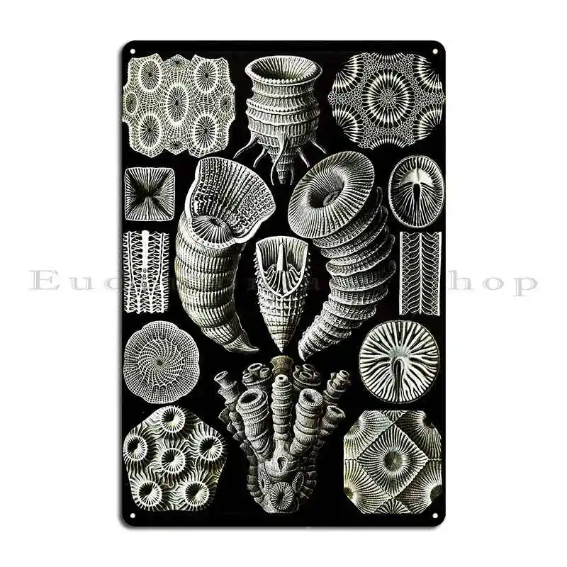 Art Forms In Nature Amazing Hd Vintage Design Number 89 Metal Plaque Poster Plates Cinema Cave Iron Party Tin Sign Poster