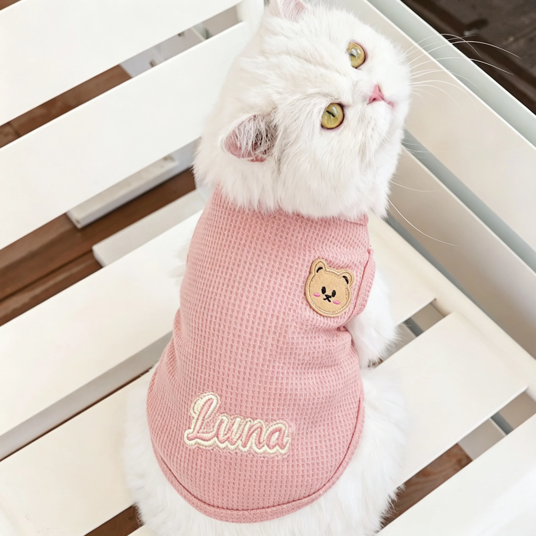 Custom Name Personalized Cat And Dog T-Shirt Comfortable All-Season Pet Top for Small to Medium Dogs And Cats