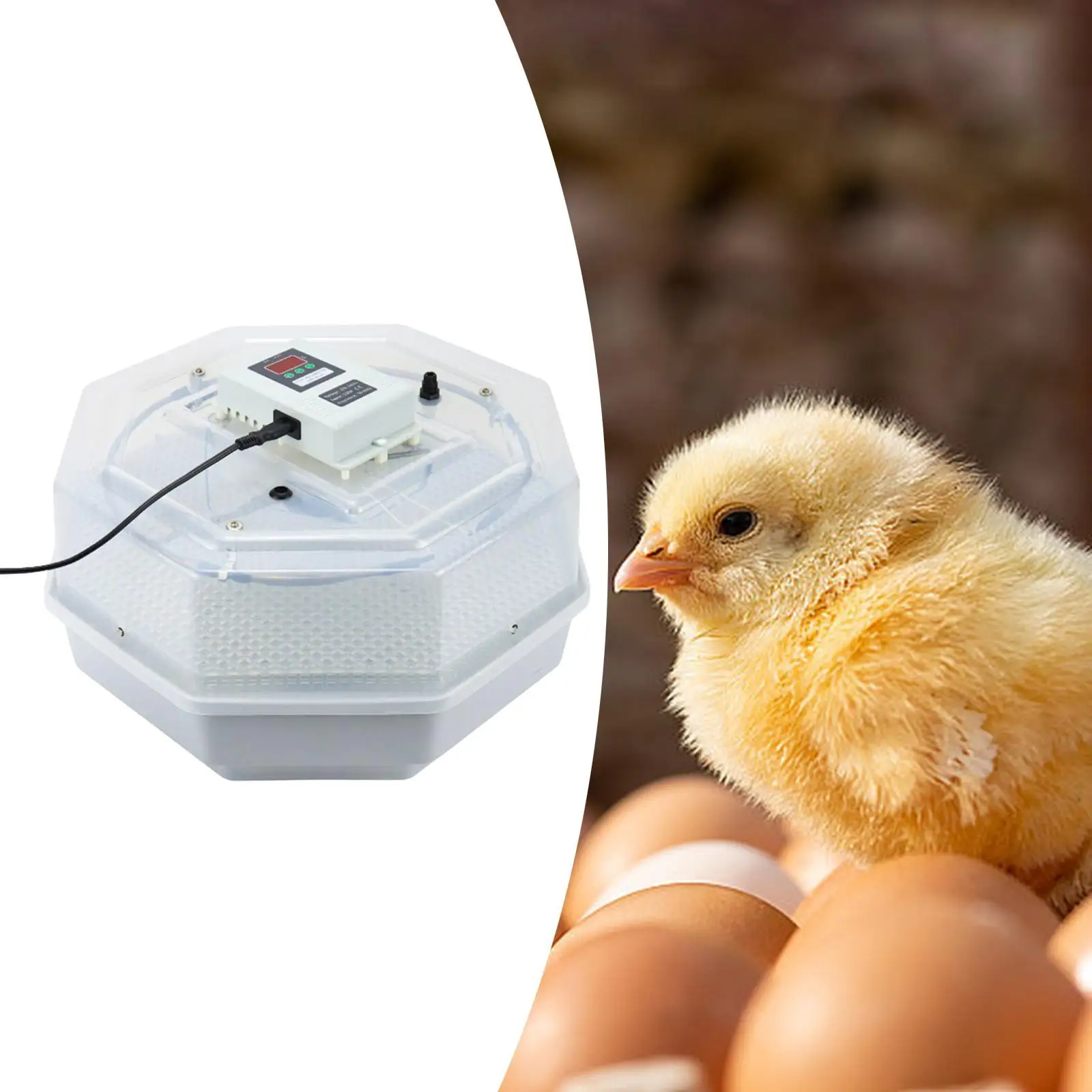 Egg Incubator Smart Automatic Egg Turning Incubator for Turkey Duck Parakeet