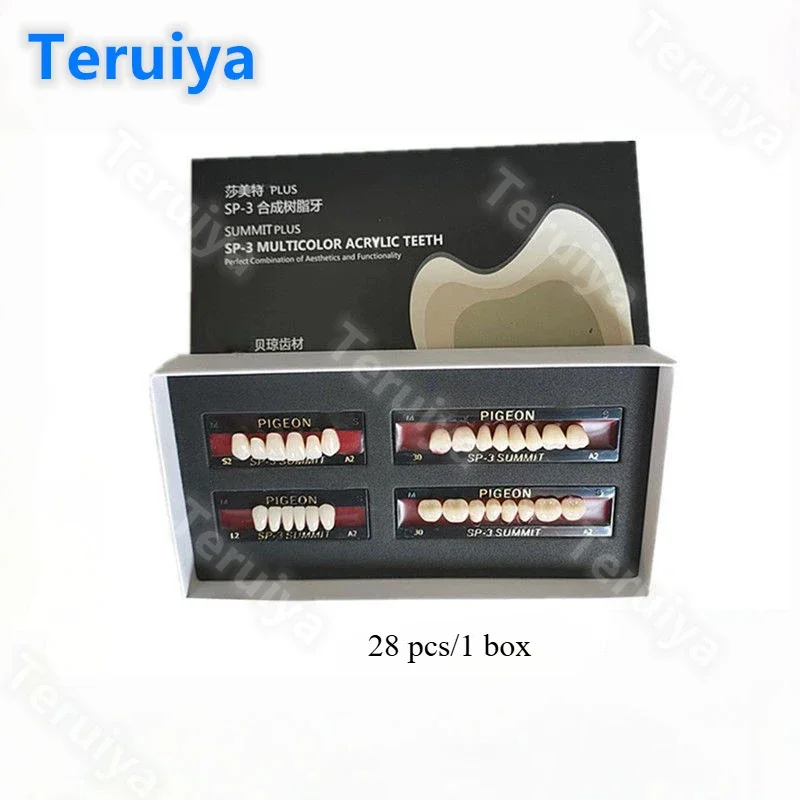 Dental Lab Essential Denture Models | Synthetic Resin, Molded Steel & Plastic Steel Teeth for Full/Partial Denture Fabrication