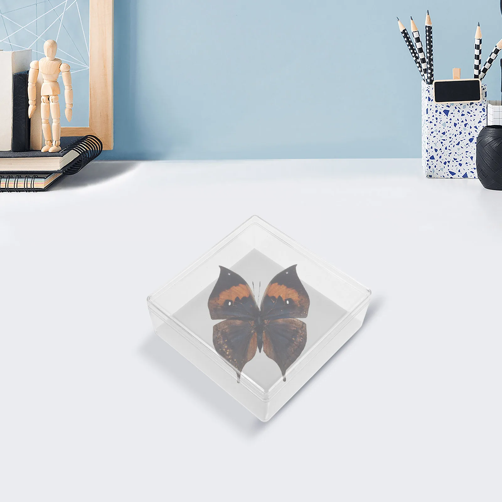 صندوق عرض العينات الشفاف DIY علبة أكريليك لعرض مجموعة الدبوس مثالية لتعليم البحث والمقتنيات #4