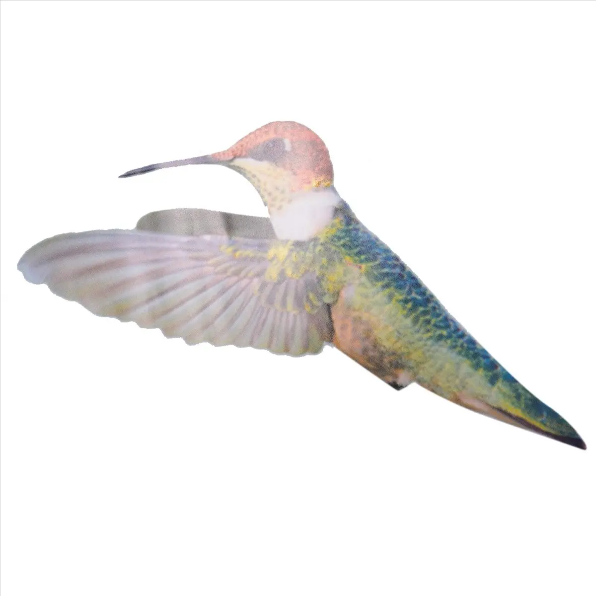 New Arrival 6 Pcs Lrge Size Bird Window Clings Anti-Collision Window Clings Decals to Prevent Bird Strikes on Window Glass